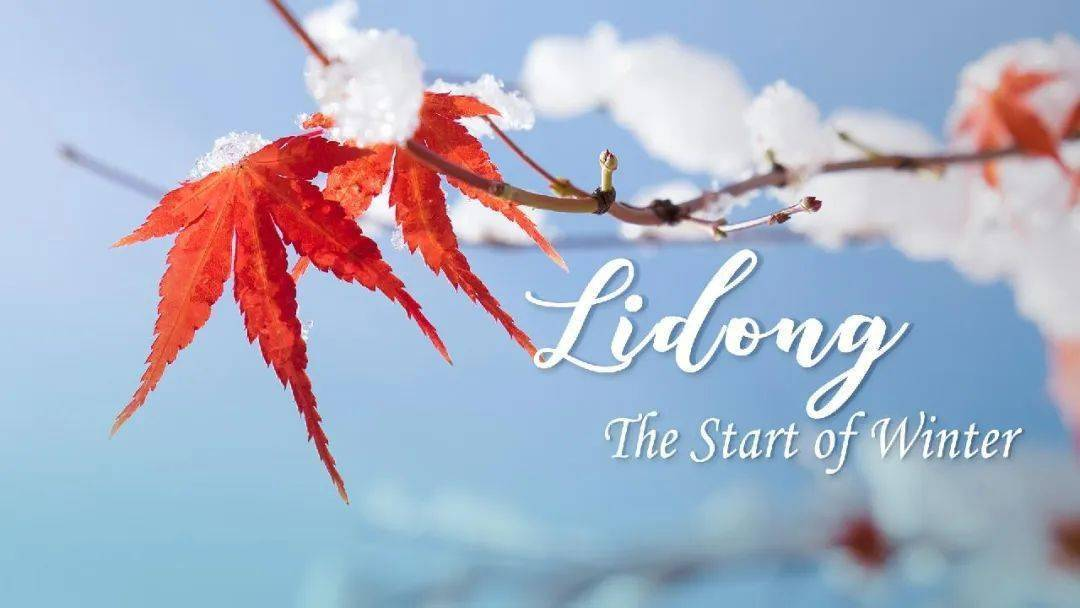 Kışın Başlangıcı: Dinlenme ve Düşünme Mevsimi